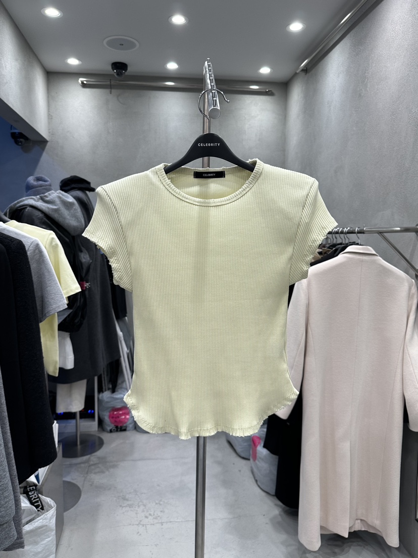 CELEBRITY-A韓國東大門直郵女裝新款26春夏熱賣休閑職業T恤CELEBRITY-AT恤圖色2