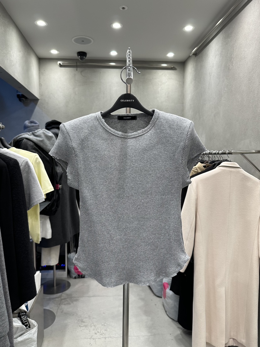 CELEBRITY-A韓國東大門直郵女裝新款26春夏熱賣休閑職業T恤CELEBRITY-AT恤圖色3