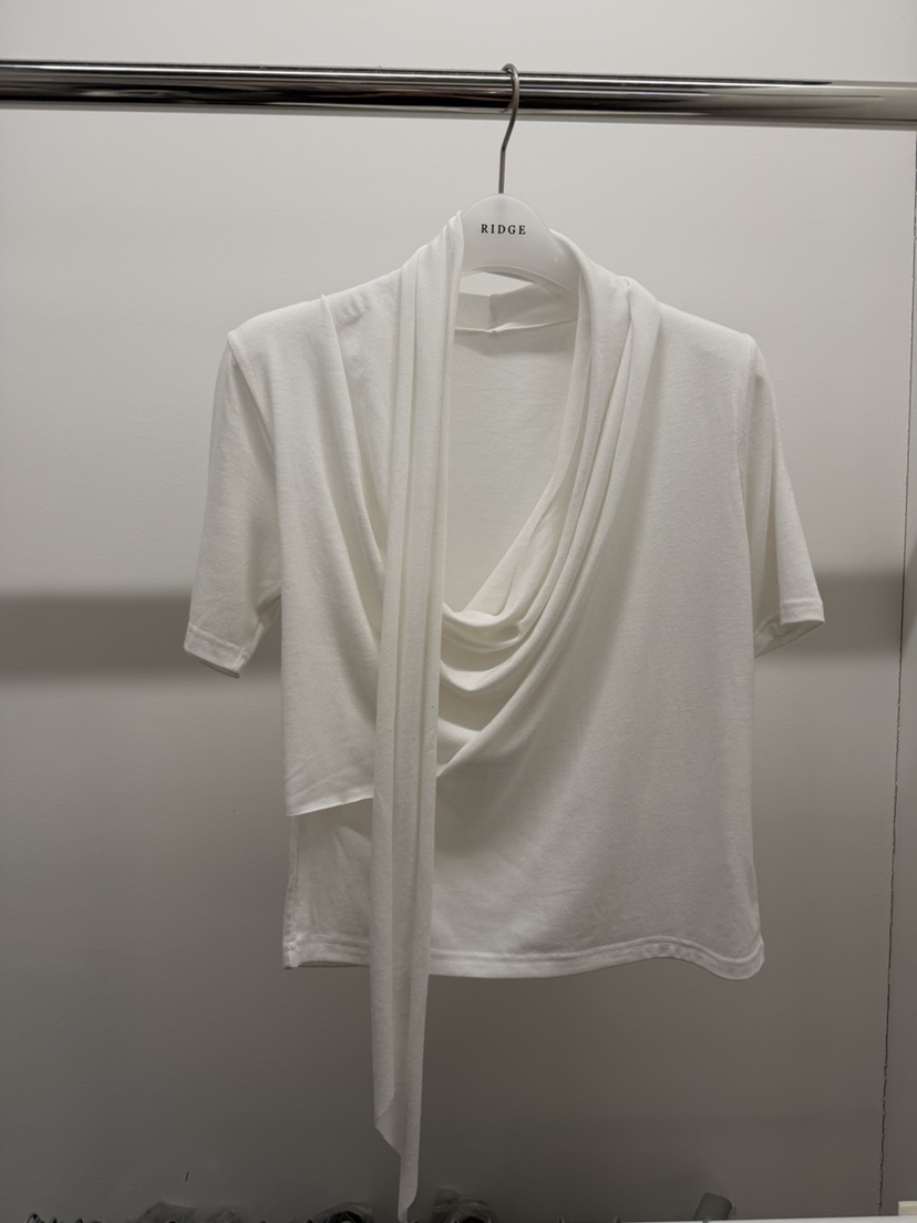 RIDGE-P韓國直郵女裝新款時尚休閑推薦26春夏熱賣職業T恤RIDGE-PT恤圖色2