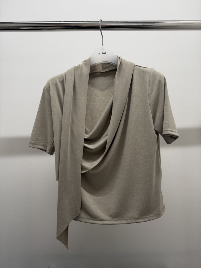 RIDGE-P韓國直郵女裝新款時尚休閑推薦26春夏熱賣職業T恤RIDGE-PT恤圖色3