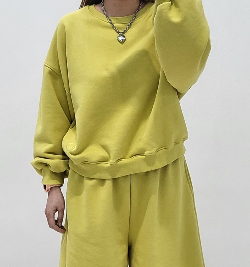 ZACCU韓國直郵女裝新款時尚推薦熱賣26春夏休閑職業衛衣刺繡ZACCU衛衣