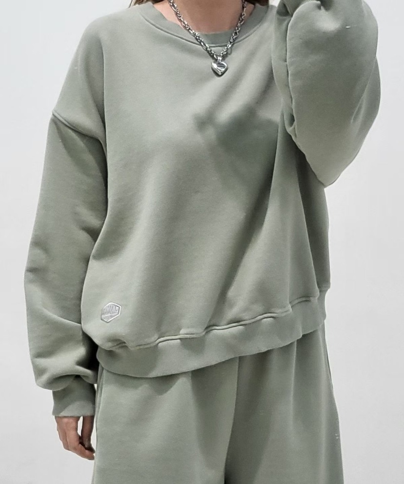 ZACCU韓國直郵女裝新款時尚推薦熱賣26春夏休閑職業衛衣刺繡ZACCU衛衣