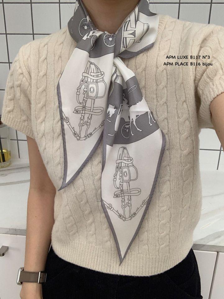 N3韓國直郵實拍女裝新品職業時尚人氣推薦熱賣圍巾披肩絲綢N3圍巾/披肩