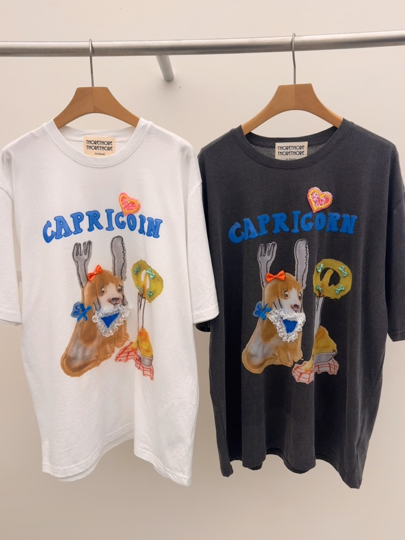 THORE韓國直郵女裝新品熱賣26春夏人氣職業推薦時尚休閑T恤THORET恤