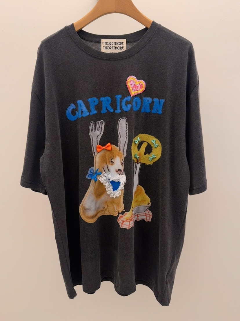 THORE韓國直郵女裝新品熱賣26春夏人氣職業推薦時尚休閑T恤THORET恤圖色2