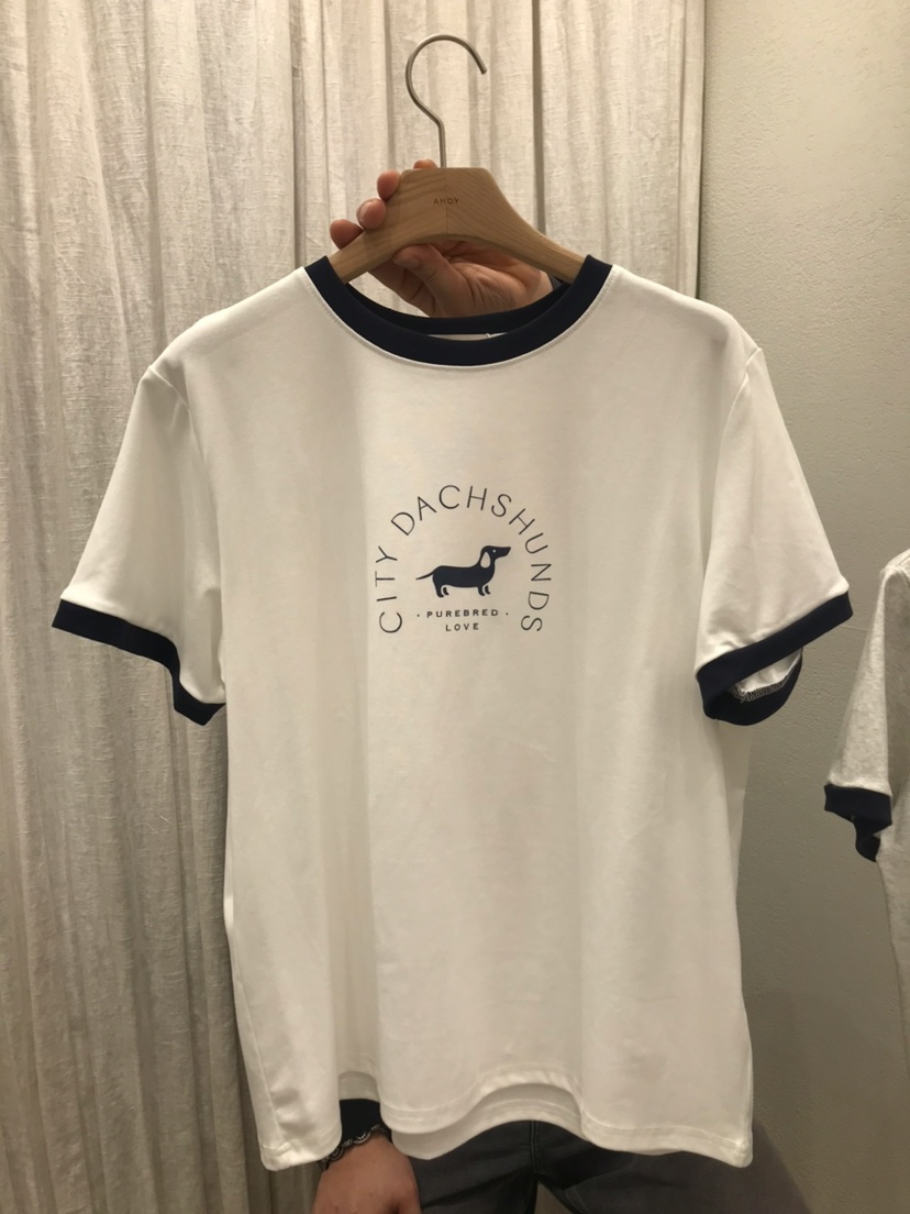 AHOY韓國東大門直郵女士新款時尚推薦26春夏人氣休閑職業T恤AHOYT恤圖色2