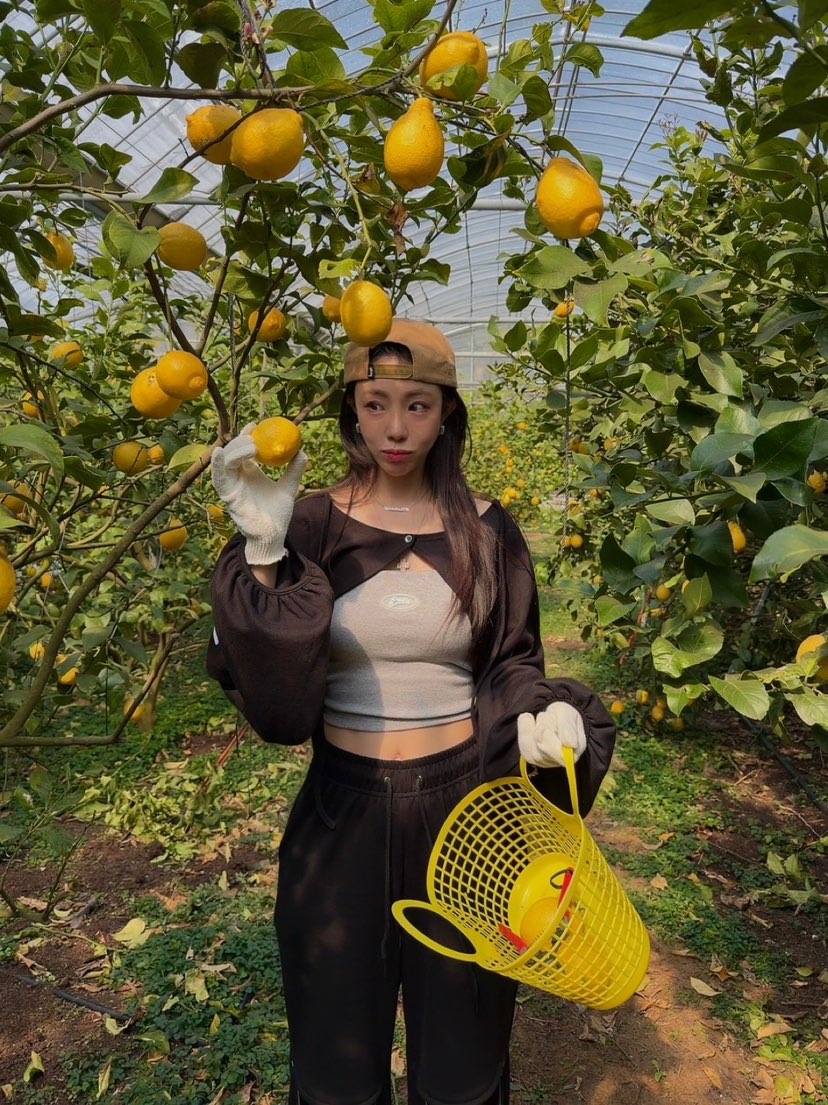 PALETTE-Q韓國代購女士新款熱賣職業推薦時尚人氣衛衣棉質PALETTE-Q衛衣