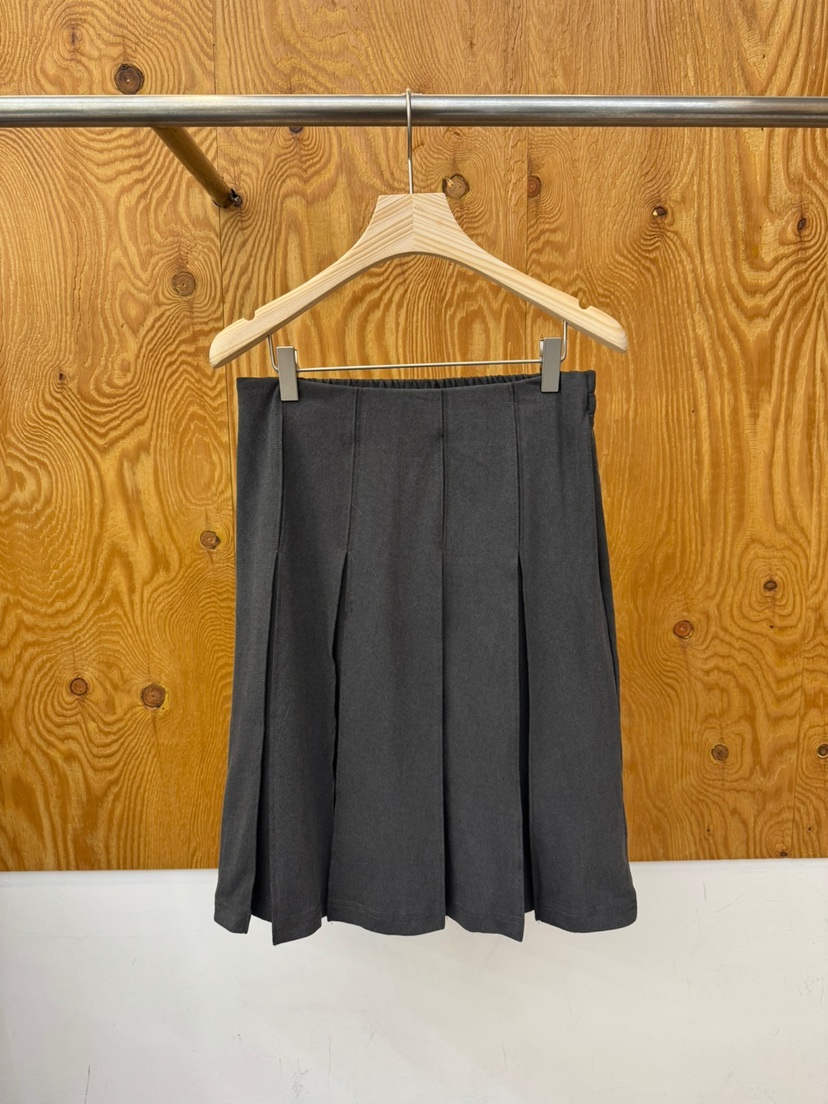 PROJECTVIEW韓國直郵女裝新款時尚26春夏半身裙中短裙百褶褶裙PROJECTVIEW半身裙/中短裙圖色2