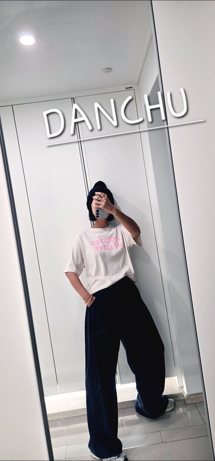 DANCHU韓國直郵實拍女裝新品26春夏休閑職業推薦熱賣人氣T恤DANCHUT恤