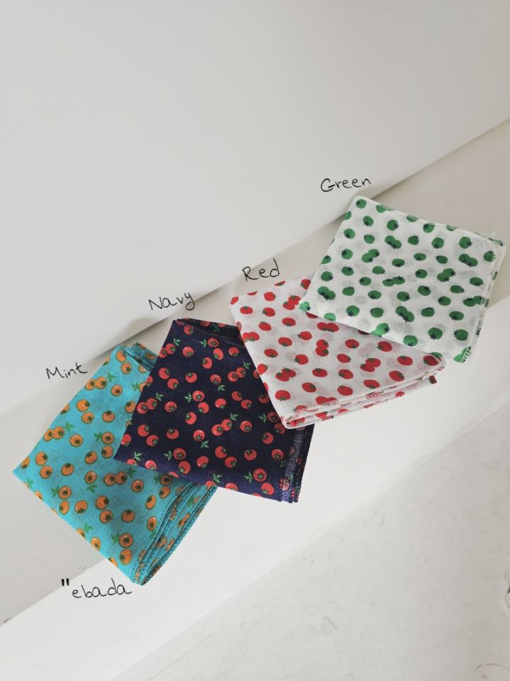 EBADA韓國直郵女裝新品休閑人氣職業推薦26春夏時尚圍巾披肩EBADA圍巾/披肩