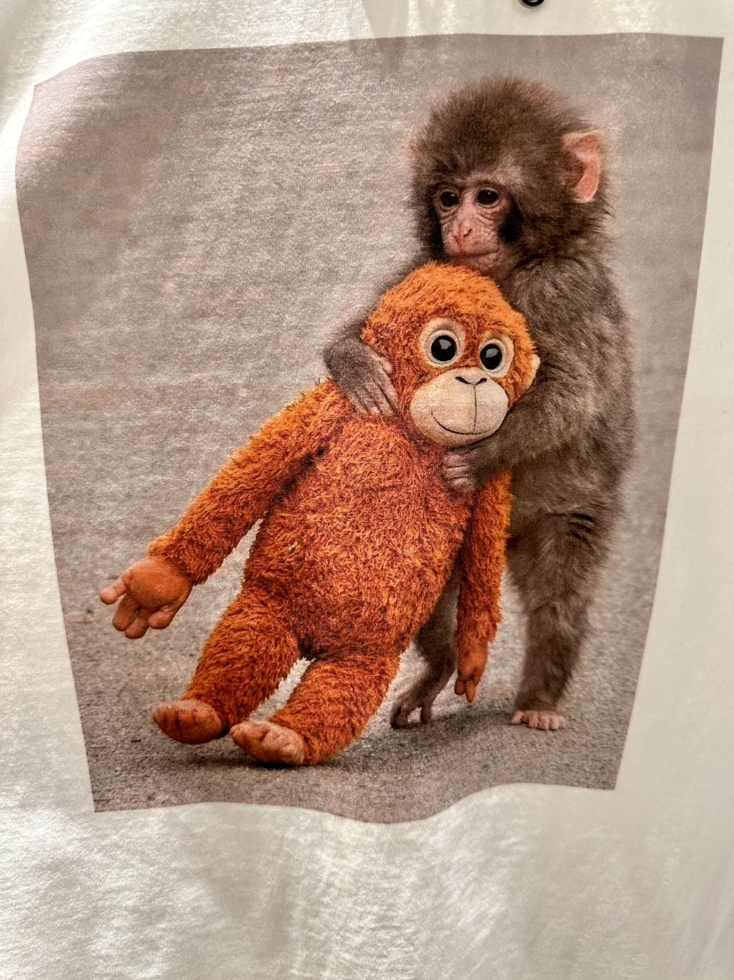 KIFF東大門實拍女裝新款熱賣職業26春夏推薦時尚真品人氣T恤KIFFT恤