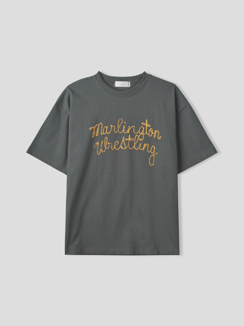 SAII韓國直郵實拍女士新款職業人氣休閑26春夏T恤男女同款SAIIT恤圖色4