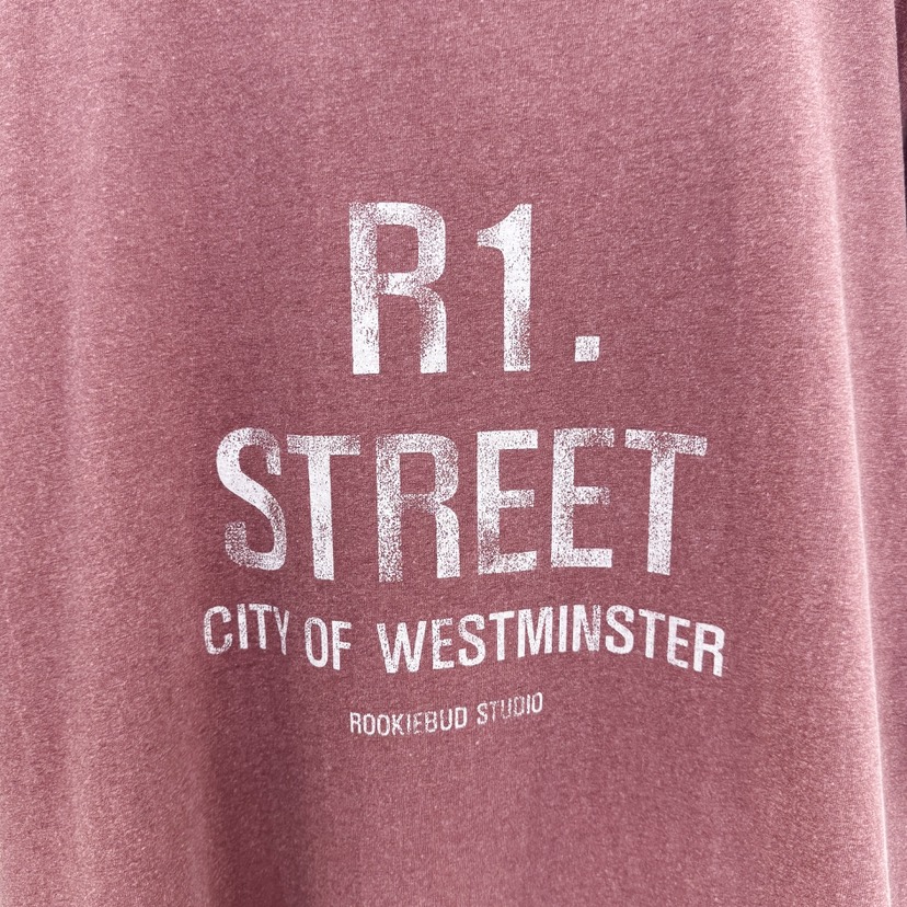 ROOKIE BUD韓國代購女裝新款26春夏職業熱賣時尚休閑T恤ROOKIE BUD-LT恤