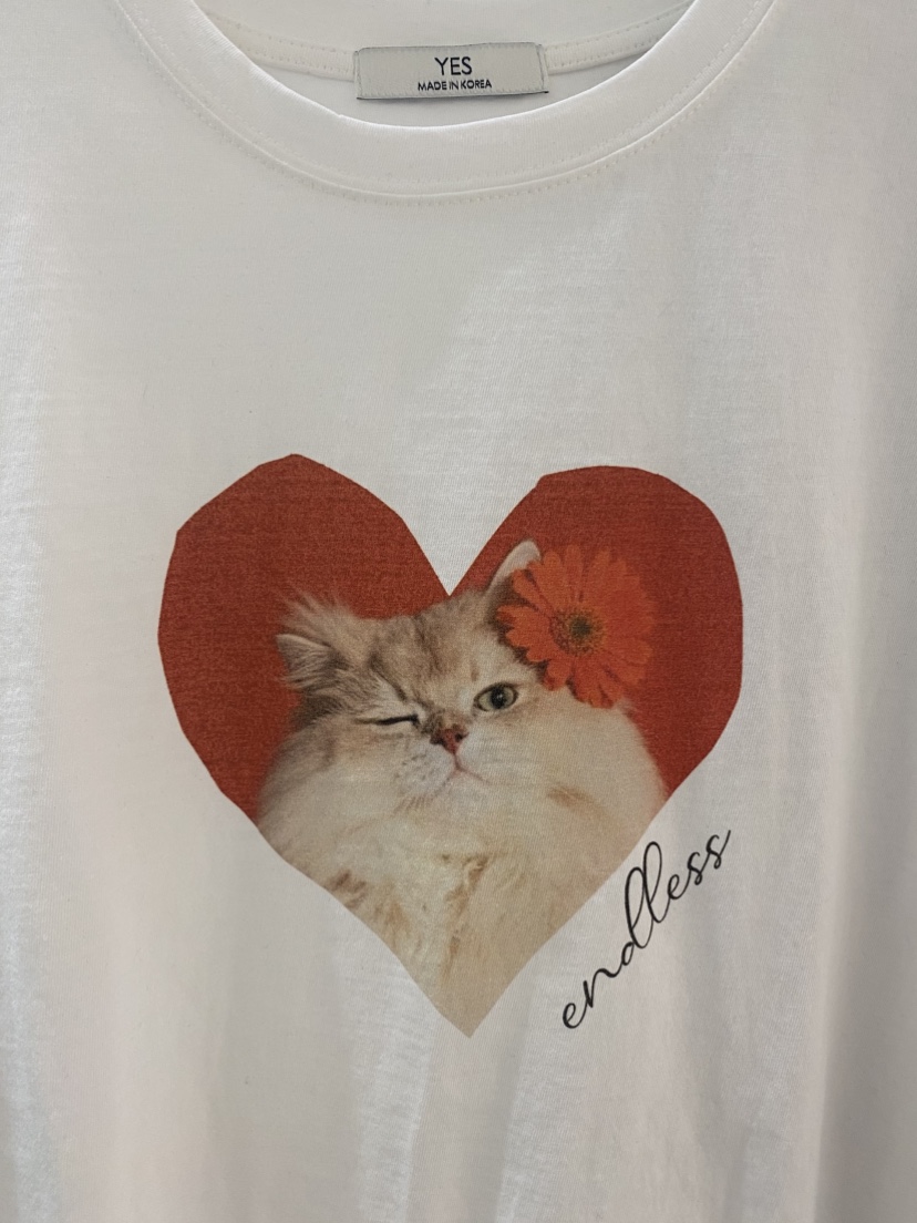 YES韓國東大門直郵女裝新款人氣休閑時尚職業26春夏熱賣T恤YEST恤