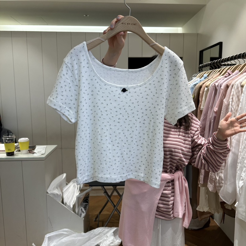 ARC韓國東大門直郵女士新款推薦職業26春夏時尚休閑熱賣T恤ARC EN CIELT恤圖色1