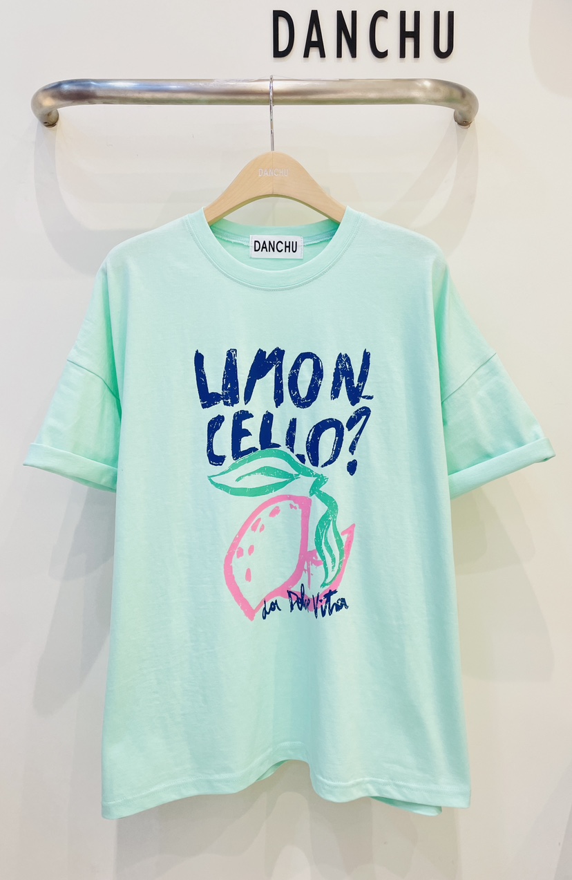 DANCHU韓國東大門代購女裝新品休閑推薦人氣26春夏時尚T恤DANCHUT恤圖色2