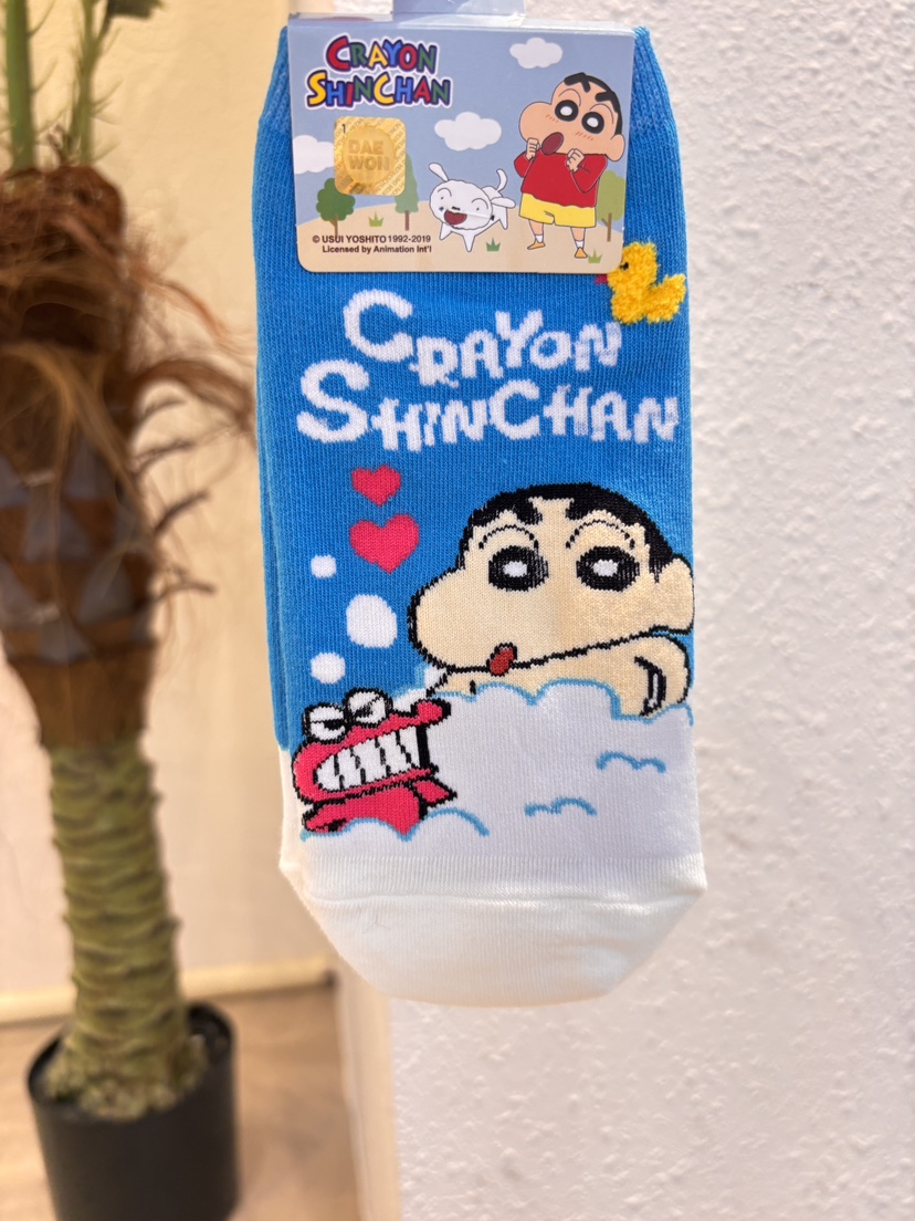 CACTUS-Q韓國東大門直郵女裝新品時尚熱賣職業推薦26春夏襪子CACTUS十雙起/可混搭襪子圖色4