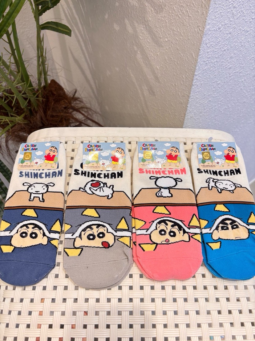 CACTUS-Q韓國代購女裝新款時尚26春夏推薦休閑人氣熱賣襪子CACTUS十雙起/可混搭襪子