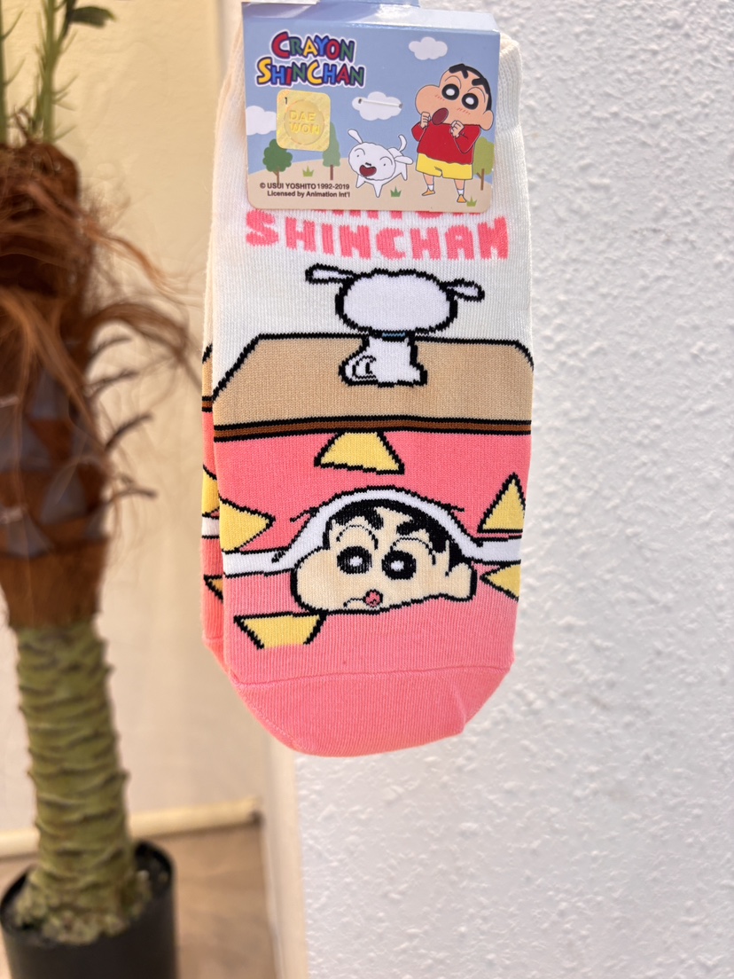 CACTUS-Q韓國代購女裝新款時尚26春夏推薦休閑人氣熱賣襪子CACTUS十雙起/可混搭襪子圖色2