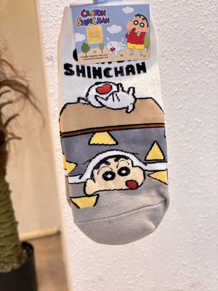 CACTUS-Q韓國代購女裝新款時尚26春夏推薦休閑人氣熱賣襪子CACTUS十雙起/可混搭襪子圖色3