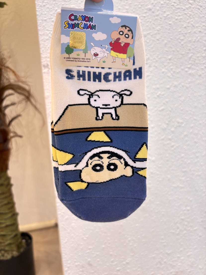 CACTUS-Q韓國代購女裝新款時尚26春夏推薦休閑人氣熱賣襪子CACTUS十雙起/可混搭襪子圖色4