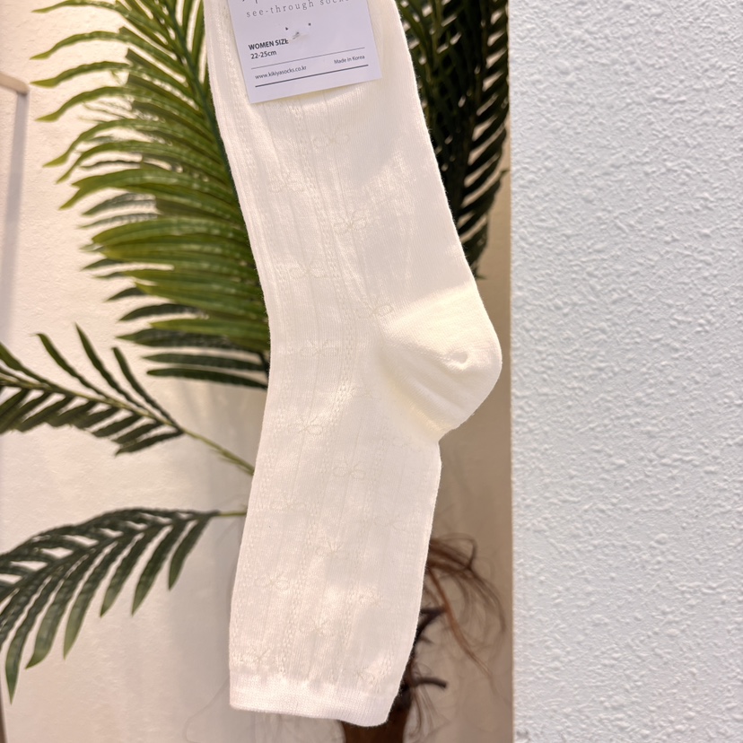 CACTUS-Q韓國東大門直郵女士新款熱賣職業休閑時尚人氣襪子CACTUS十雙起/可混搭襪子圖色2