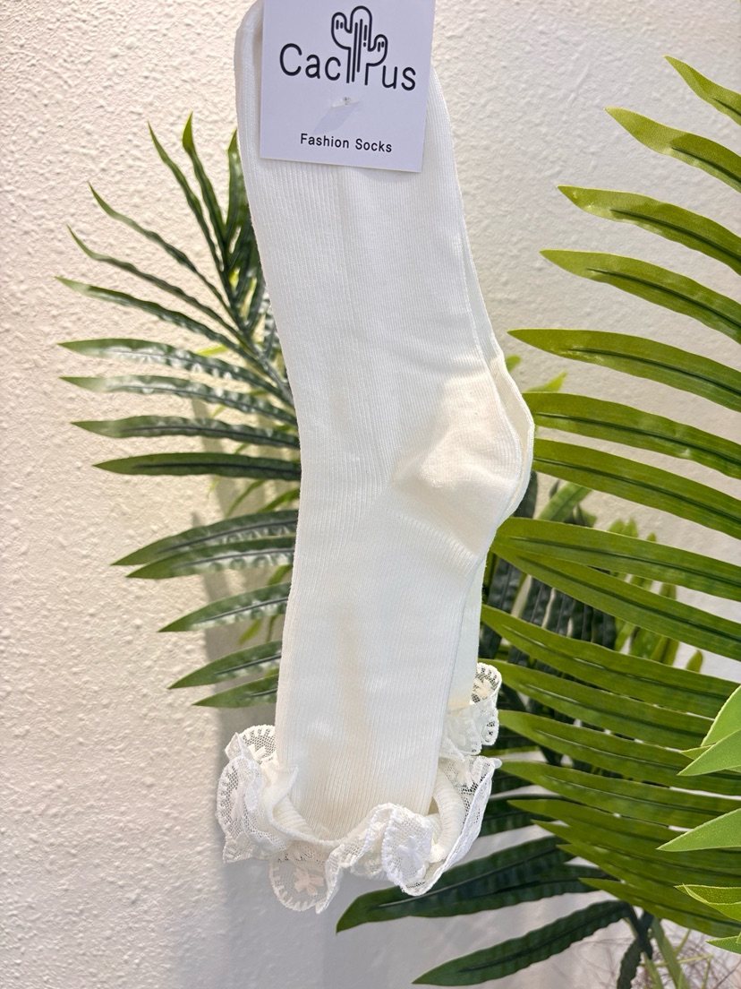 CACTUS-Q韓國直郵實拍女裝新款職業26春夏推薦熱賣襪子蕾絲CACTUS十雙起/可混搭襪子圖色1