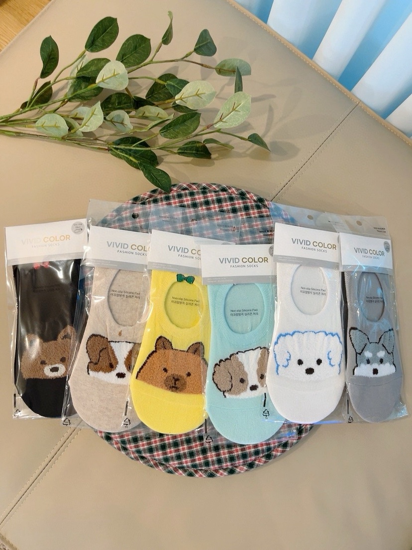 CACTUS-Q韓國東大門代購女士新款休閑推薦時尚人氣26春夏襪子CACTUS十雙起/可混搭襪子