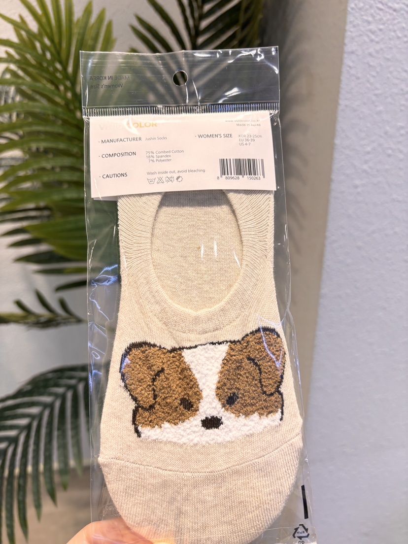 CACTUS-Q韓國東大門代購女士新款休閑推薦時尚人氣26春夏襪子CACTUS十雙起/可混搭襪子圖色2