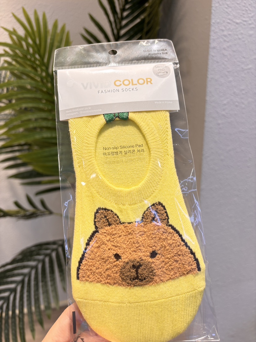 CACTUS-Q韓國東大門代購女士新款休閑推薦時尚人氣26春夏襪子CACTUS十雙起/可混搭襪子圖色3