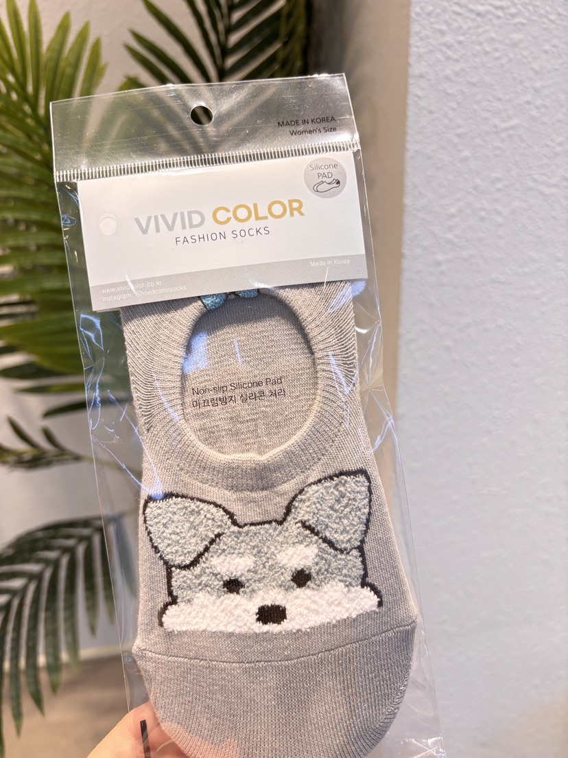 CACTUS-Q韓國東大門代購女士新款休閑推薦時尚人氣26春夏襪子CACTUS十雙起/可混搭襪子圖色5