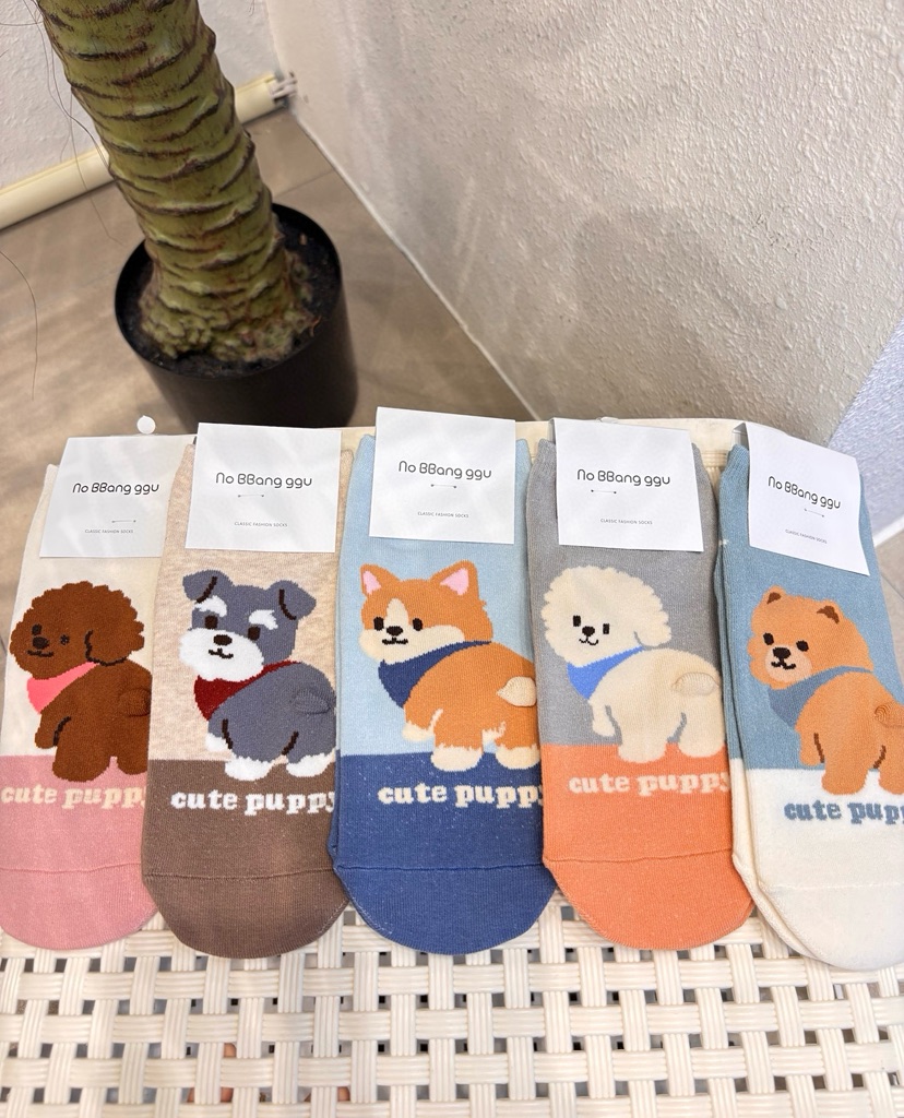 CACTUS-Q韓國直郵實拍女裝新款推薦熱賣職業26春夏時尚襪子CACTUS十雙起/可混搭襪子