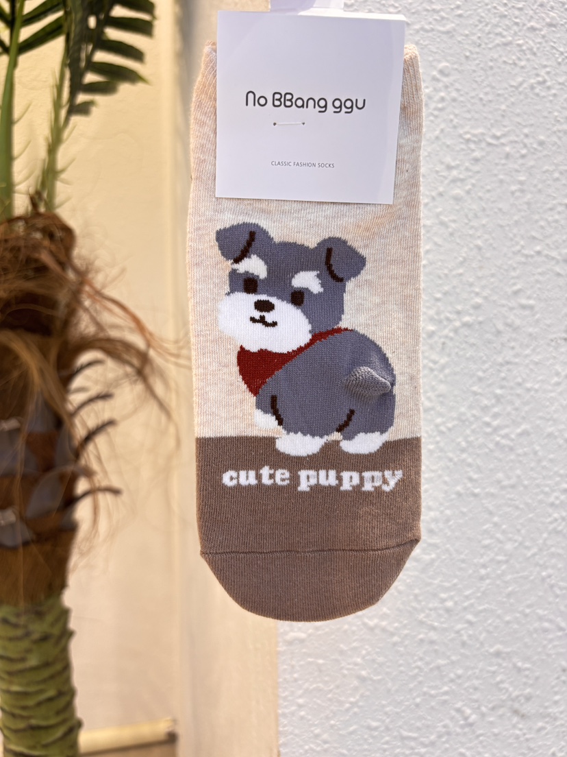 CACTUS-Q韓國直郵實拍女裝新款推薦熱賣職業26春夏時尚襪子CACTUS十雙起/可混搭襪子圖色2