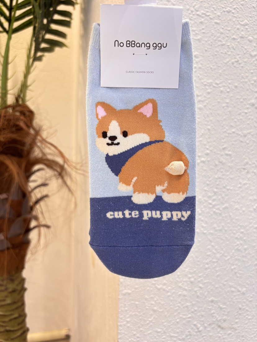 CACTUS-Q韓國直郵實拍女裝新款推薦熱賣職業26春夏時尚襪子CACTUS十雙起/可混搭襪子圖色3