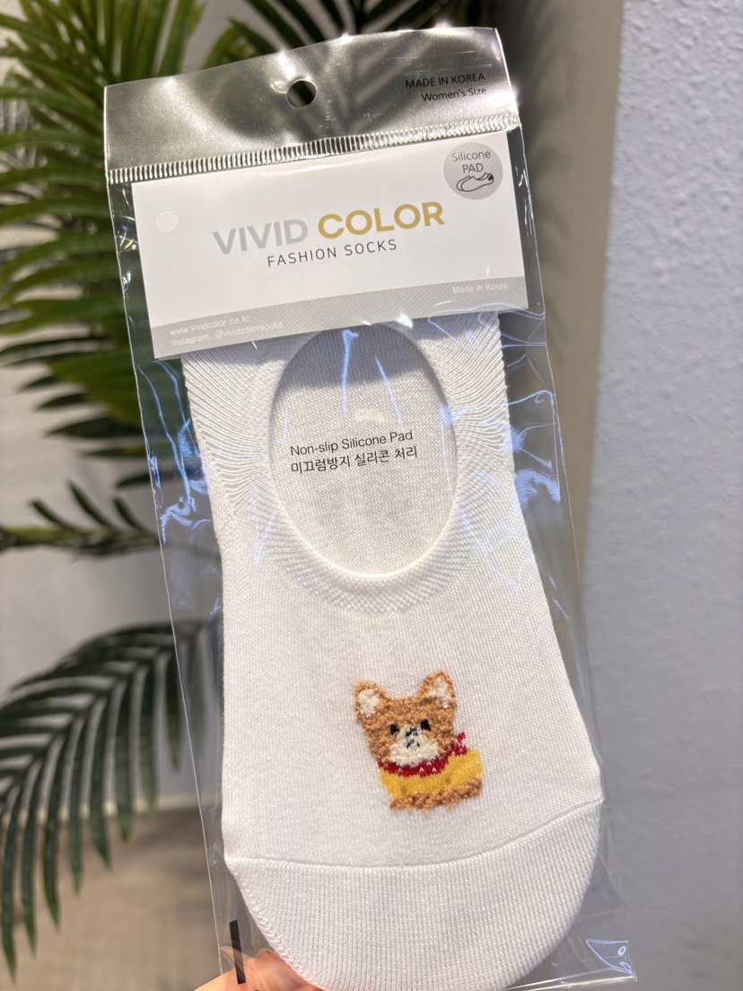 CACTUS-Q東大門代購女士新款熱賣時尚26春夏真品人氣襪子CACTUS十雙起/可混搭襪子圖色1