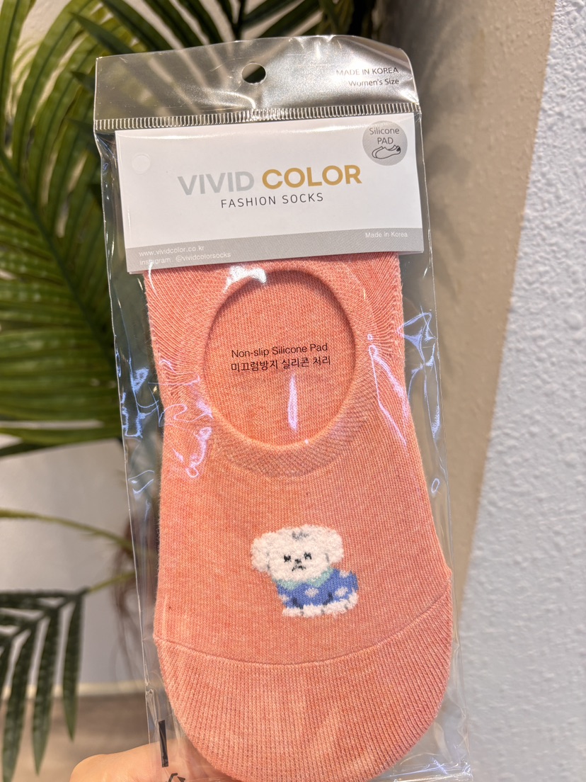 CACTUS-Q東大門代購女士新款熱賣時尚26春夏真品人氣襪子CACTUS十雙起/可混搭襪子圖色3