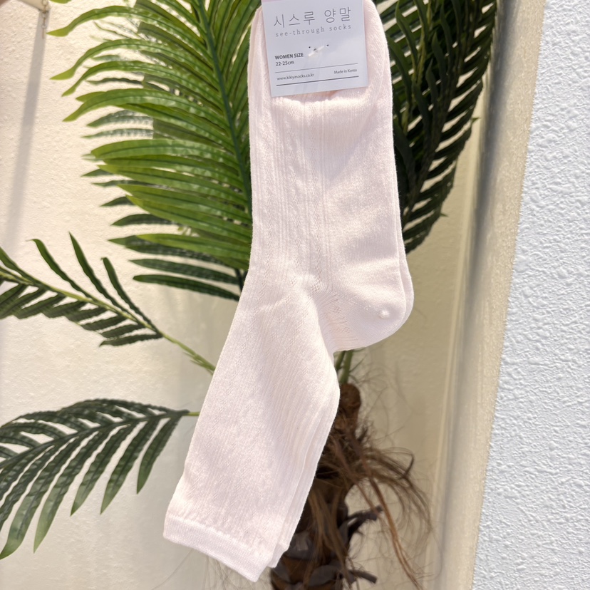 CACTUS-Q韓國代購女士新品職業推薦真品人氣熱賣休閑襪子CACTUS十雙起/可混搭襪子圖色3