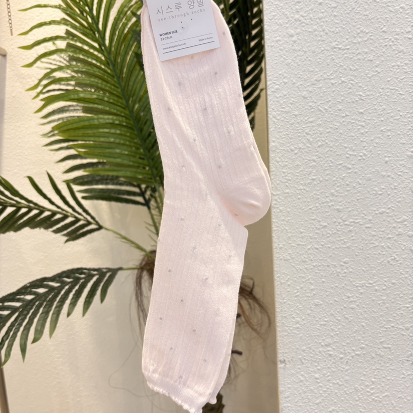 CACTUS-Q東大門直郵女裝新款職業人氣推薦休閑26春夏襪子CACTUS十雙起/可混搭襪子圖色3