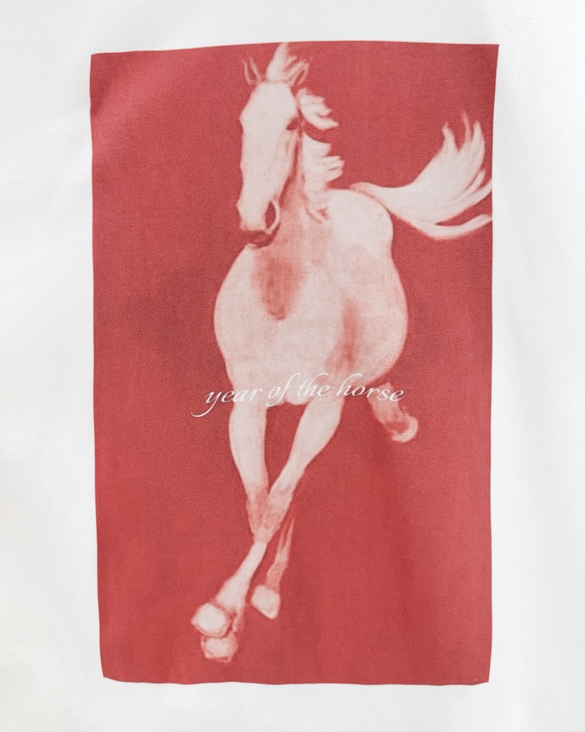 ROOKIE BUD韓國直郵女裝新品休閑時尚真品26春夏推薦T恤ROOKIE BUD-LT恤