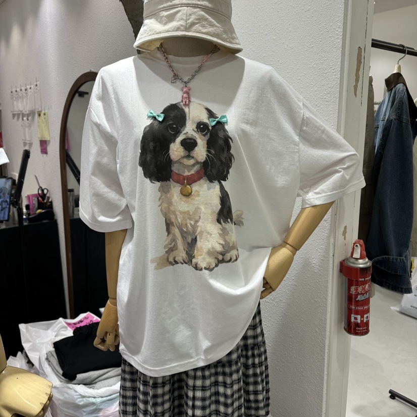 EVE韓國代購女裝新品26春夏熱賣休閑推薦時尚人氣職業T恤EVET恤圖色1