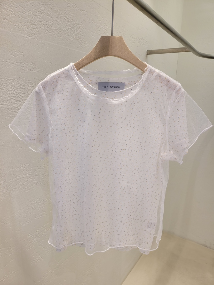 THE OTHER韓國東大門直郵女士新品熱賣26春夏人氣T恤透明THE OTHERT恤