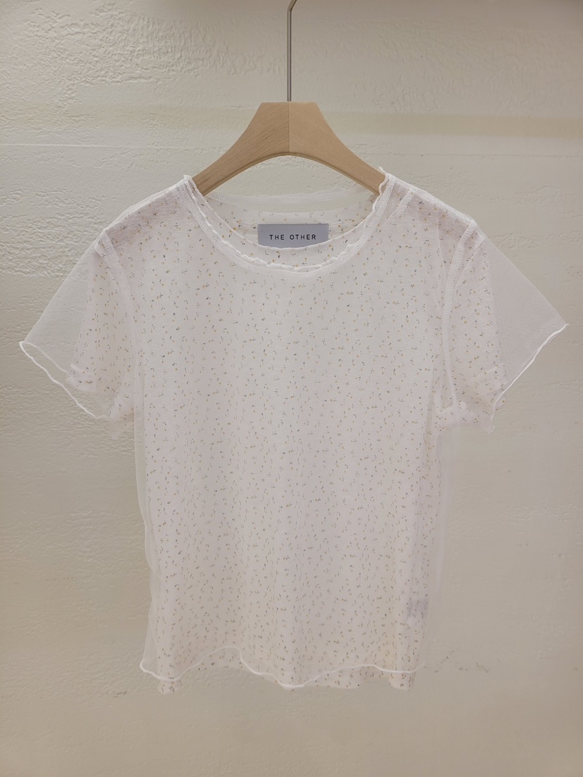 THE OTHER韓國東大門直郵女士新品熱賣26春夏人氣T恤透明THE OTHERT恤圖色2白色