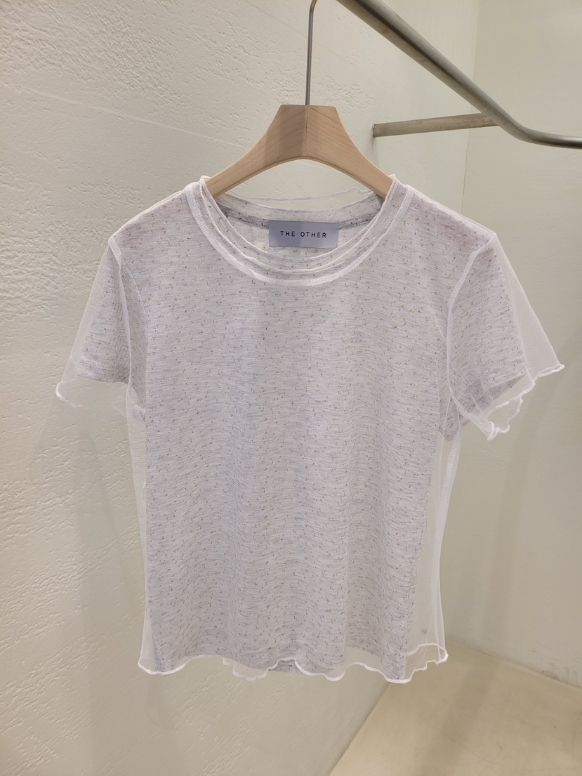 THE OTHER韓國東大門直郵女士新品熱賣26春夏人氣T恤透明THE OTHERT恤圖色3灰白色
