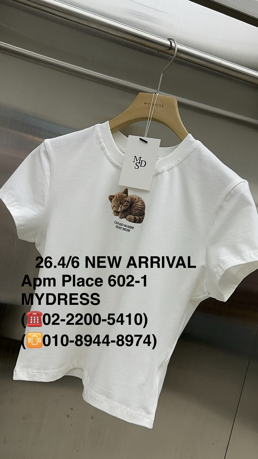 MYDRESS韓國直郵女士新品26春夏熱賣時尚人氣推薦職業T恤MYDRESST恤