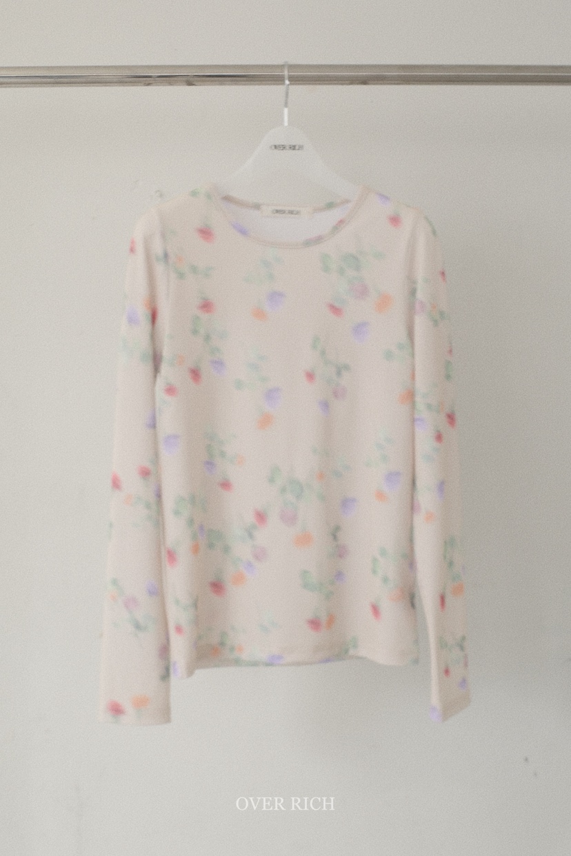 OVER RICH韓國東大門直郵女裝新款推薦26春夏熱賣長袖T恤OVER RICH長袖T恤圖色2