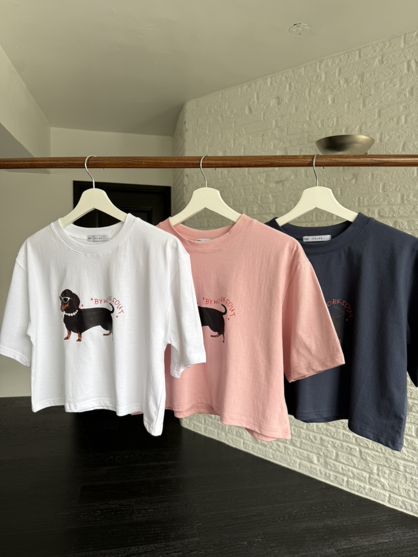 SOLAR韓國代購女裝新款熱賣人氣時尚推薦職業26春夏休閑T恤SOLART恤