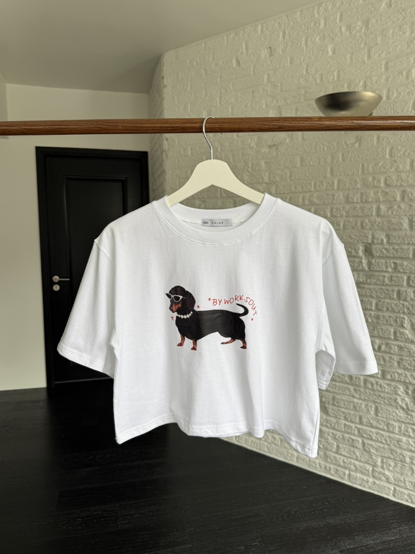 SOLAR韓國代購女裝新款熱賣人氣時尚推薦職業26春夏休閑T恤SOLART恤圖色1