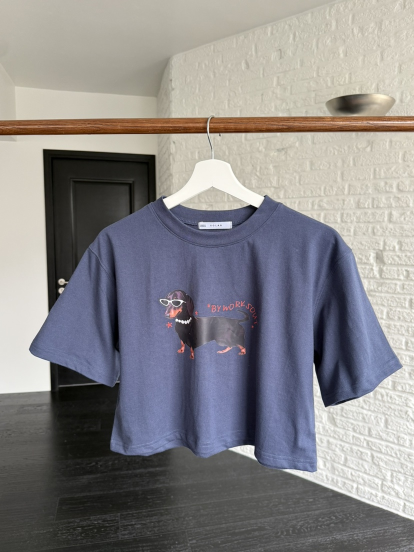 SOLAR韓國代購女裝新款熱賣人氣時尚推薦職業26春夏休閑T恤SOLART恤圖色3