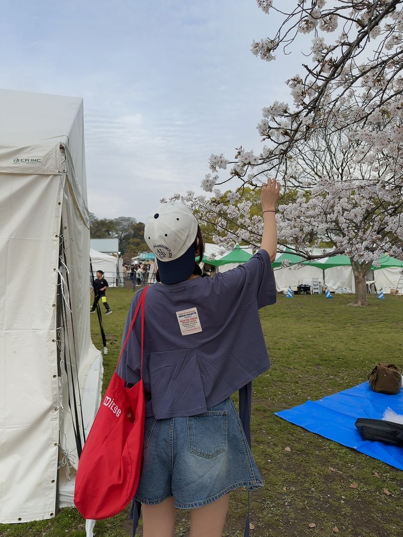 PALETTE-Q韓國代購女士新款時尚人氣休閑職業熱賣T恤棉質PALETTE-QT恤