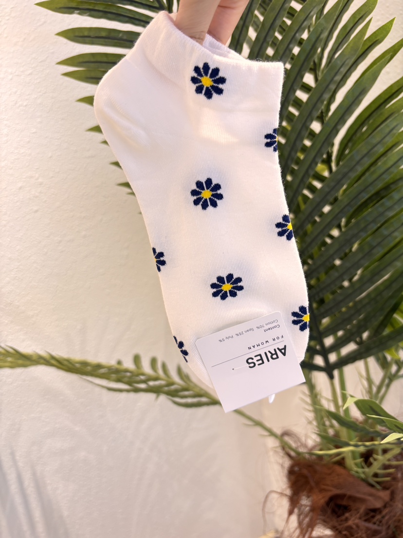 CACTUS-Q韓國代購女士新款時尚熱賣職業真品26春夏人氣襪子CACTUS十雙起/可混搭襪子圖色1